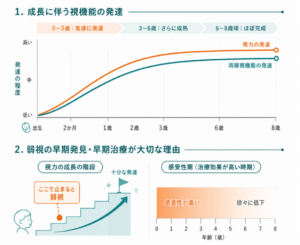 視機能の発達と弱視の早期発見・早期治療が大切な理由をグラフ化しています。